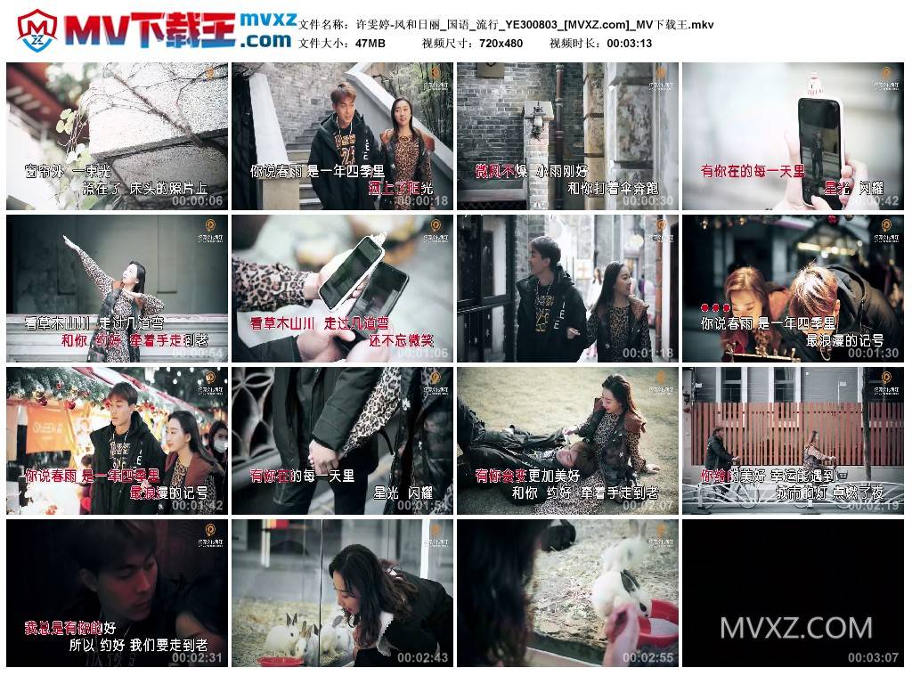 许雯婷-风和日丽_国语_流行_YE300803